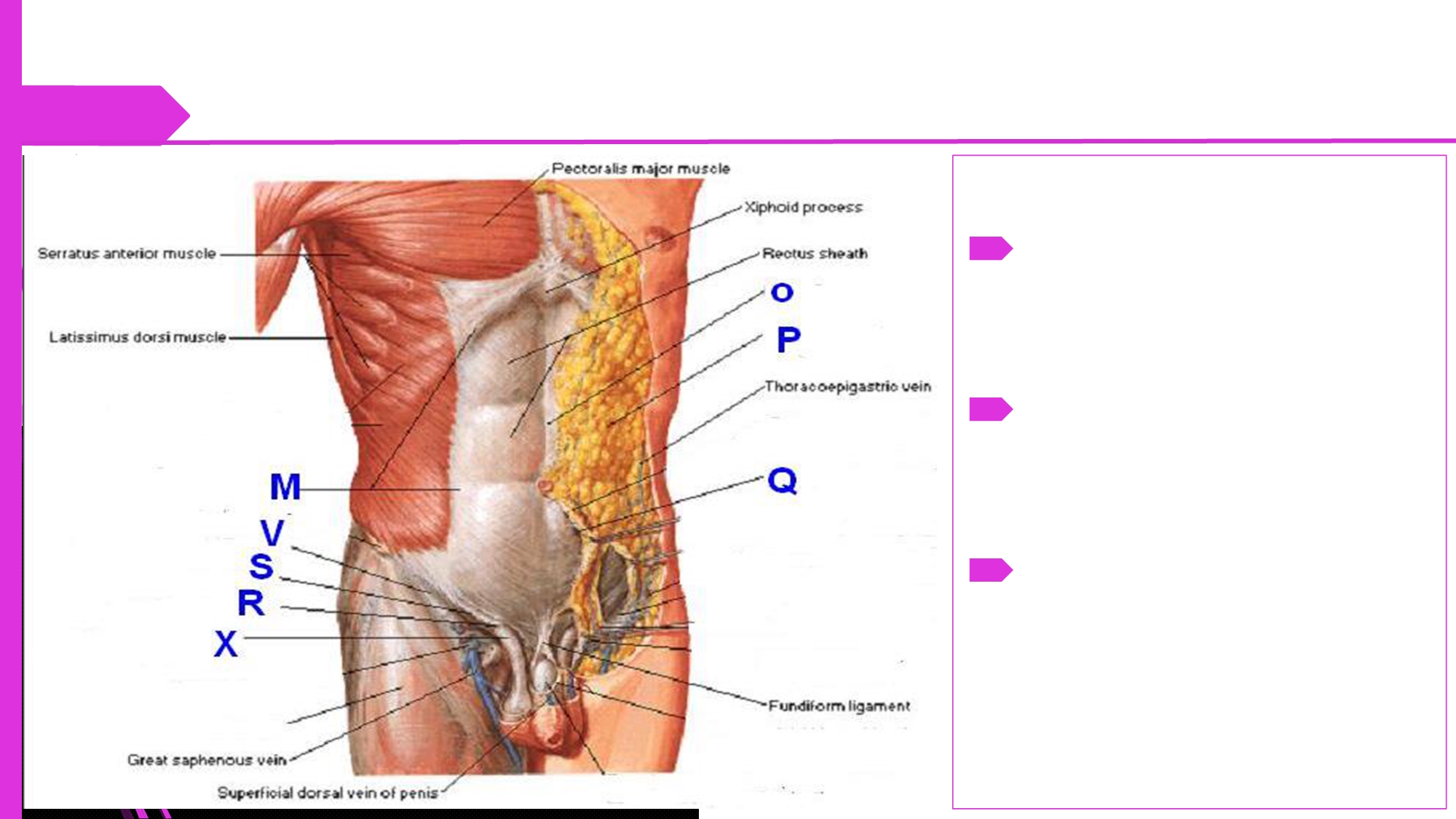 No preview available